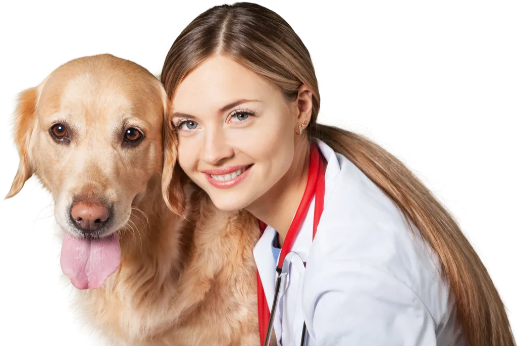 Veterinarian with a golden retriever representing compassionate care at Pavilion Crossing Animal Hospital